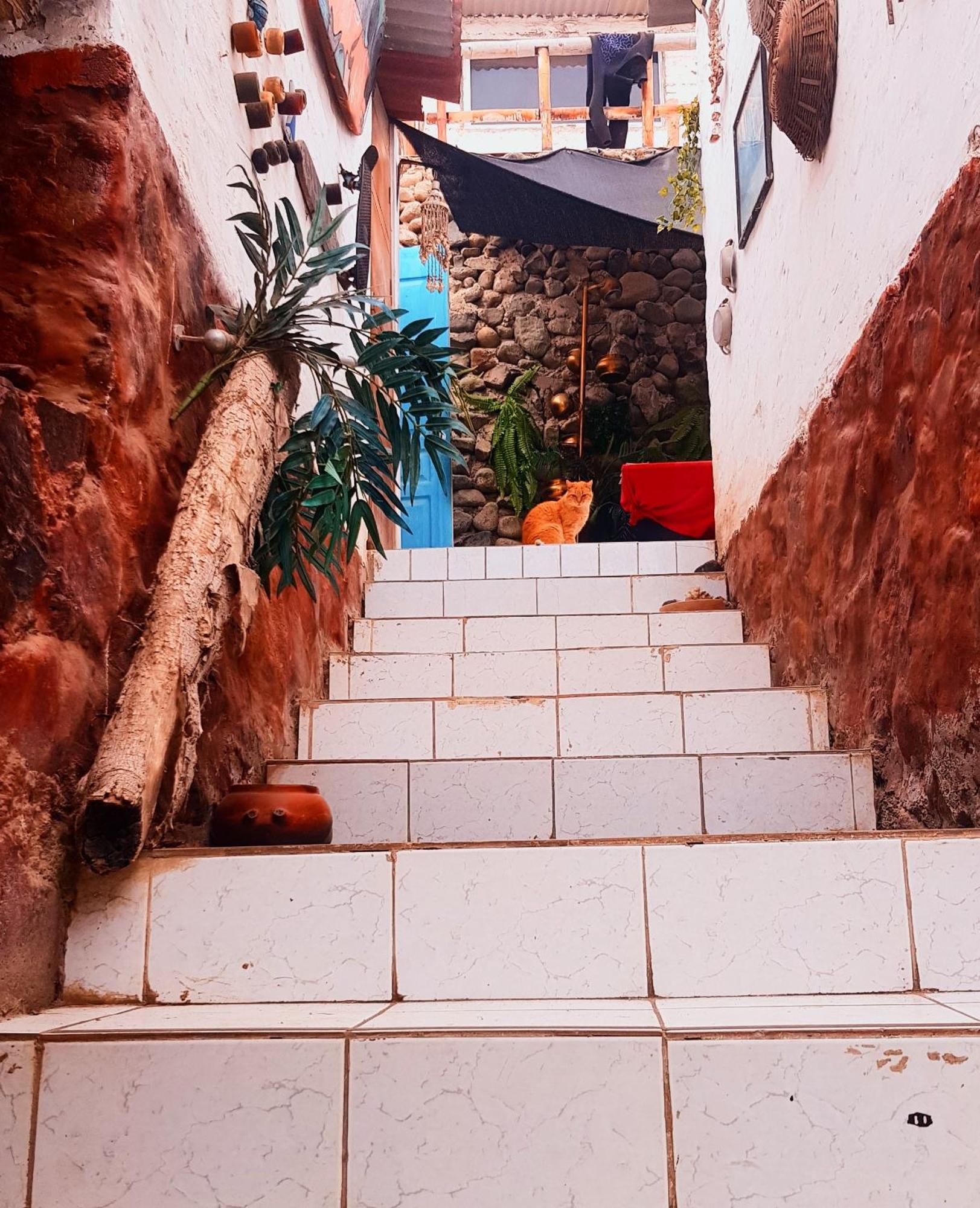 Huanchaco Surf Camp Apartment Exterior photo